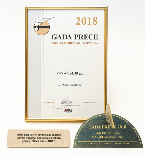 Godalga “Gada prece 2018 ”. 