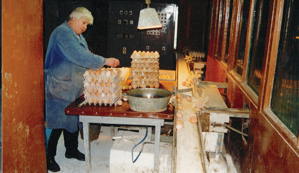 Olas mazgāšana