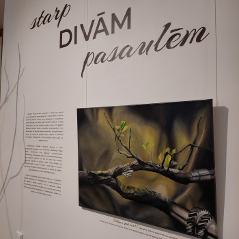 Antas Baidekalnes gleznu izstāde "Starp divām pasaulēm"