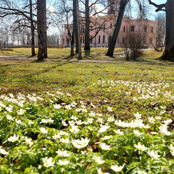 Dabas atmoda Muižas parkā